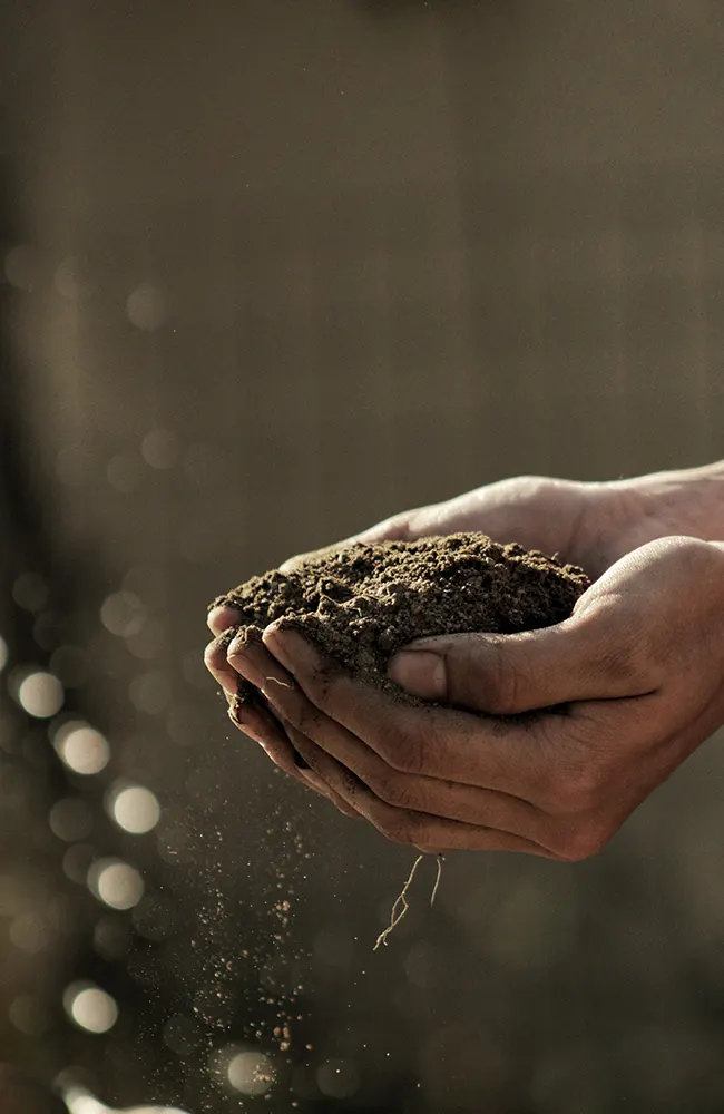 controlled agriculture
